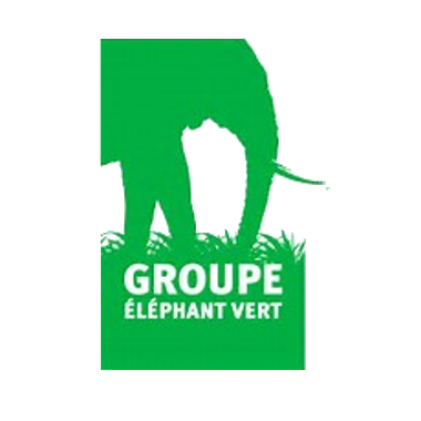 Groupe Eléphant Vert